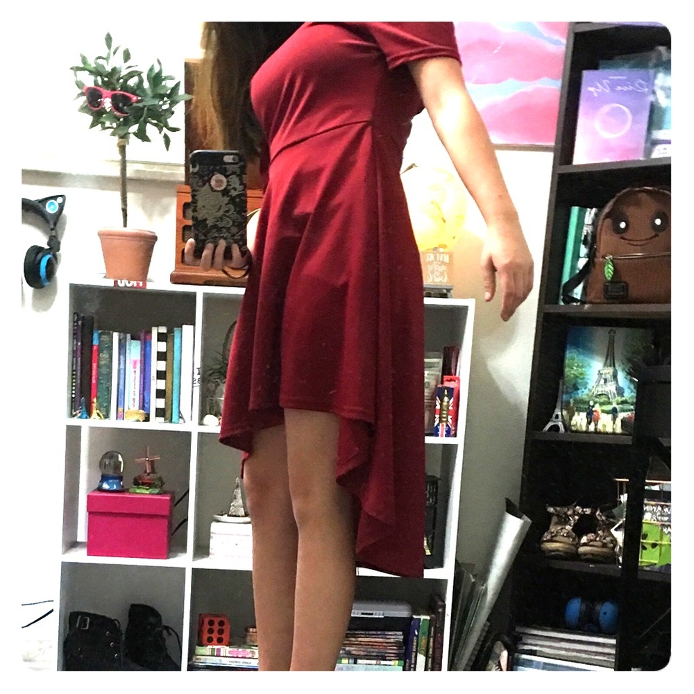 🌸 Maroon Train dress